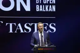 Мицкоски Винска визија